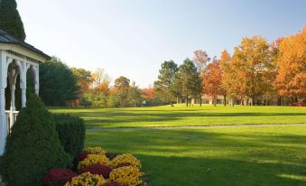 a beautiful golf course surrounded by lush green grass , trees , and flowers , bathed in the warm glow of sunset at Hilton Woodcliff Lake