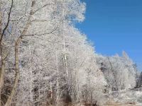 长白山梧桐雪山居 - 酒店景观