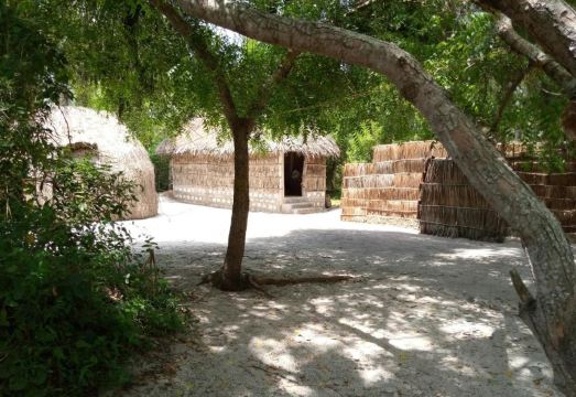 룸미다 크릭 에코 캠프 - 로지