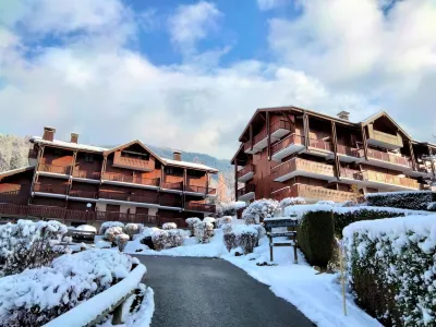 La Pointe des Aravis 4