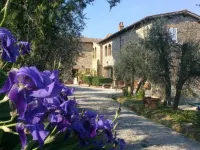 Podere San Quirico
