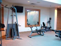 Hilton St. Louis Frontenac - Gym