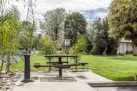 Quality Inn & Suites Gilroy Hotels near Safeway