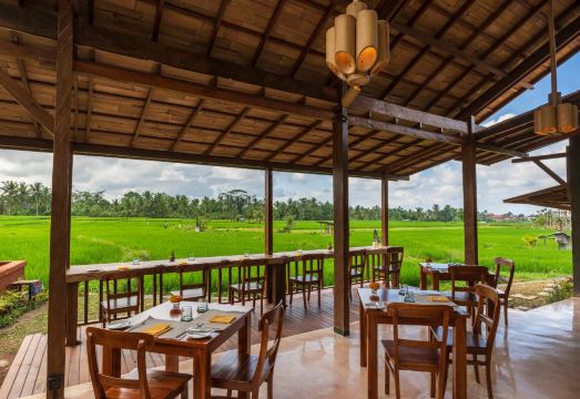 비하우스 디지와 우붓