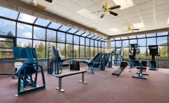 a well - equipped gym with a variety of exercise equipment , including treadmills , weight machines , and benches at Oh St Joseph Resort Hotel