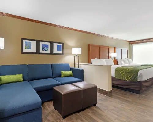 Comfort Suites West Monroe Near Ike Hamilton Expo Center Hotels in West Monroe