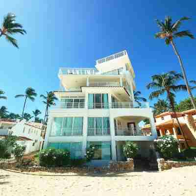 Punta Cana Ocean View Penthouse - the Best Dominican Ocean View Hotel Exterior