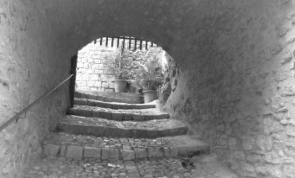 Agriturismo San Pietro - Housity