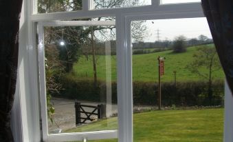 a window with a view of a green field and trees , while a bowl is placed on the sill at Ash Farm Country House