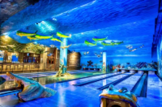 빅 사이프러스 로지