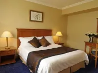 Castelli Hotel Nicosia Hotel a Agios Dometios