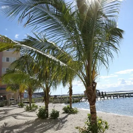 Princess Bayside Beach Hotel
