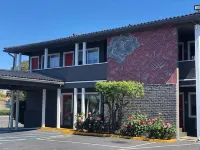 Lia Hotel Hôtels à : San Carlos