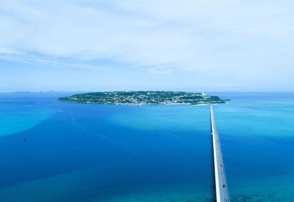 2. 고우리지마 르호..