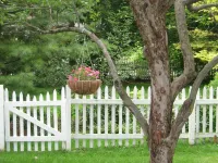 Beautiful Valley Guesthouse Hotel a Scottsville