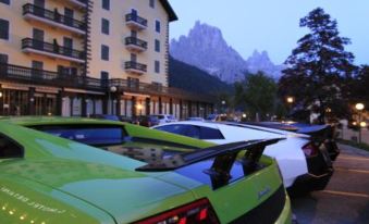 G. Hotel des Alpes (Classic since 1912)