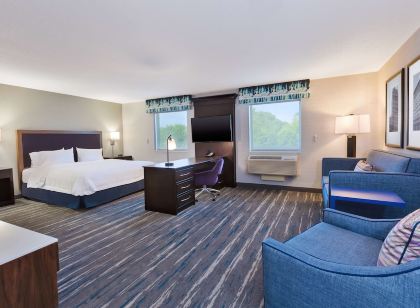 Hampton Inn & Suites Flint/Grand Blanc