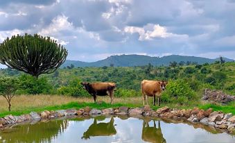 Olepangi Farm