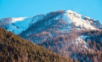 Hotel Chamois d'Or