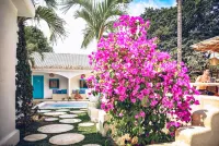 The Koho Air Hotel