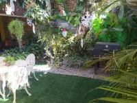 Hotel Antiguo Hotels near Dazzling salon !!!!