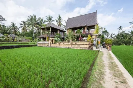 Royal JJ Ubud Resort & Spa