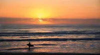 Superb 1 Bedroom Apartment Near the Beach