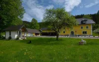 Tameggerhof Hotels in Treibach-Althofen