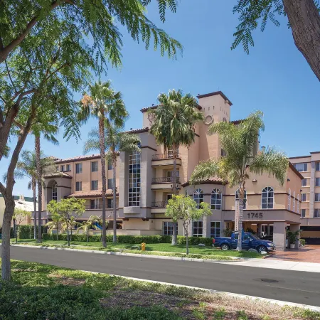 Peacock Suites