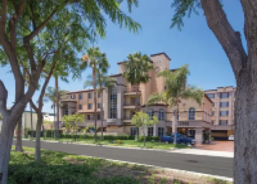 ピーコック スイーツ