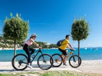 Hotel Narcis - Maslinica Hotels & Resorts Hotels in Rabac