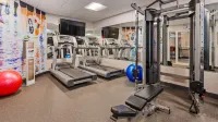 Best Western Plus Hudson I-94 - gimnasio