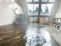 Pyramid Onsen - Pet friendly