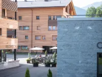 Catrina 2-Zimmer Standard Apartment Hotels in Disentis