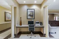 Spark by Hilton La Grange