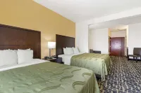 Spark by Hilton La Grange