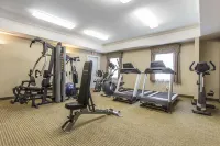 Quality Inn & Suites Amsterdam - Gym