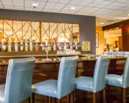 Comfort Inn Syosset-Long Island - bar