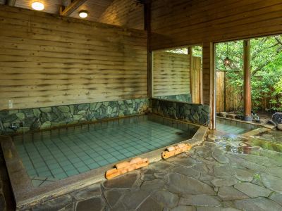 スパ・大浴場 美食と自家源泉を愉しむ静寂の宿　秘湯・鷹ノ巣温泉　鷹の巣館の写真