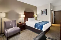 Comfort Inn Lacey - Olympia Hotels in Lacey