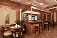 Chanakya Bnr Hotel - bar