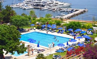 a large outdoor pool surrounded by lounge chairs and umbrellas , with a marina in the background at Corfu Palace Hotel