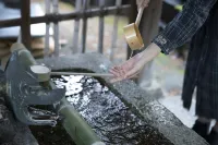 Nikko Style Nagoya - Romanttinen
