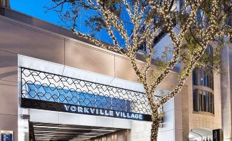 Stallion Suites Yorkville