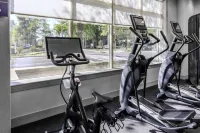 Hampton Inn & Suites by Hilton Arlington Crystal City DCA
