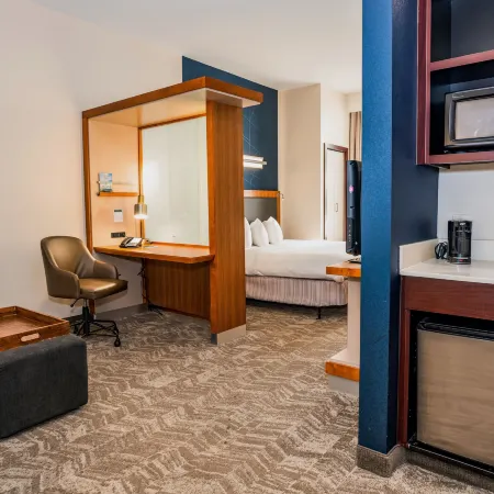 SpringHill Suites San Antonio Alamo Plaza/Convention Center