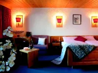 Hôtel Alpina - Swiss Ski & Bike Lodge Grimentz Hotels in Zinal