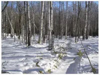 Nukabira Onsen Hotel Hotel di Kamishihoro