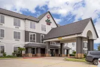 Best Western Plus Hobby Airport Inn  Suites Hotel di Houston