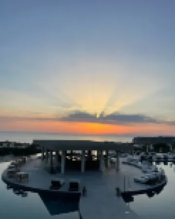 King Jason Zante – Designed for Adults